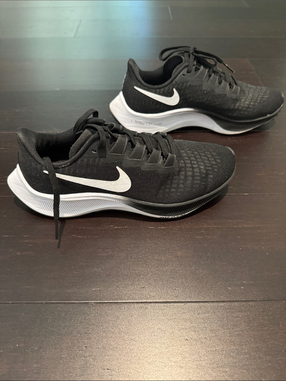 Nike Air Zoom Pegasus 37